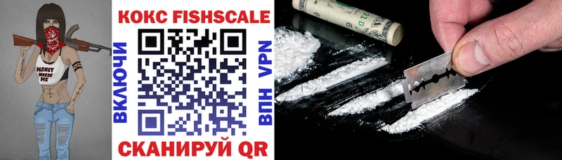 Cocaine FishScale  Николаевск-на-Амуре 