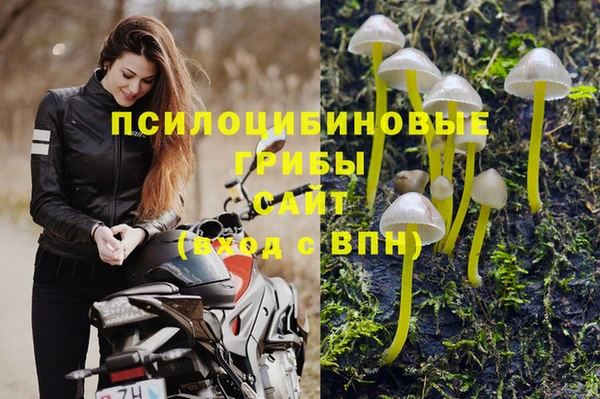 молекула духа Абдулино