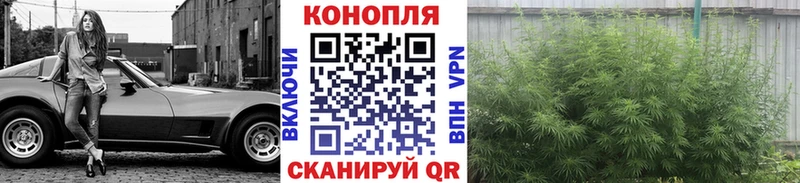закладка  Николаевск-на-Амуре  Бошки марихуана LSD WEED 